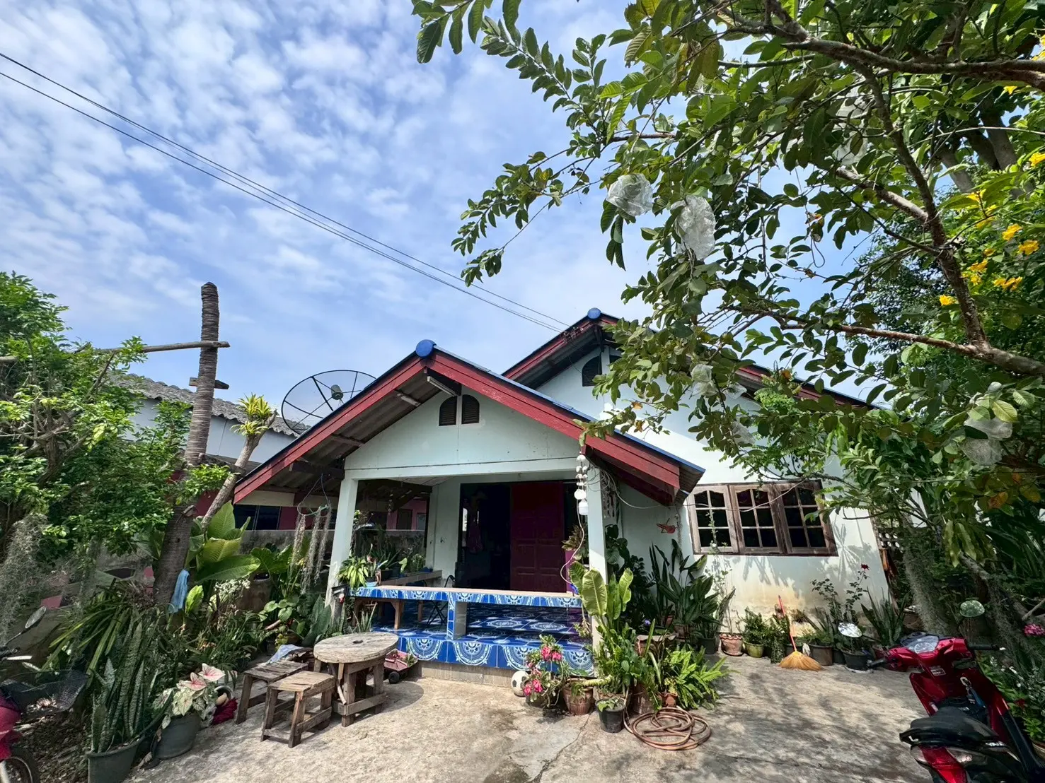 บ้านเดี่ยว บ้านซอยสันติ หนองบอน ต นิคมพัฒนา อ นิคมพัฒนา จ ระยอง